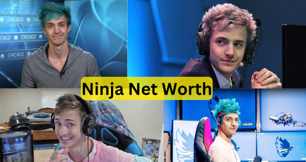 Ninja Net Worth